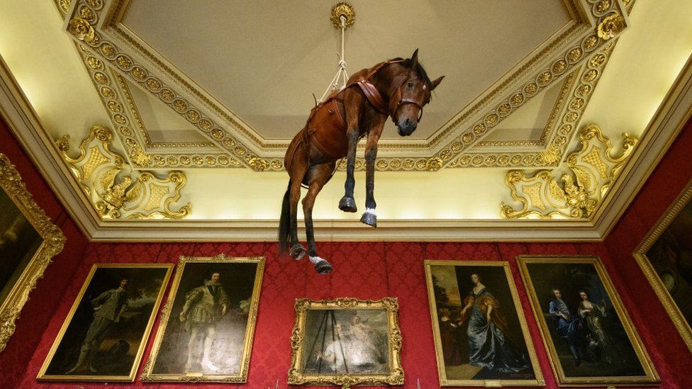Horse hanging from ceiling