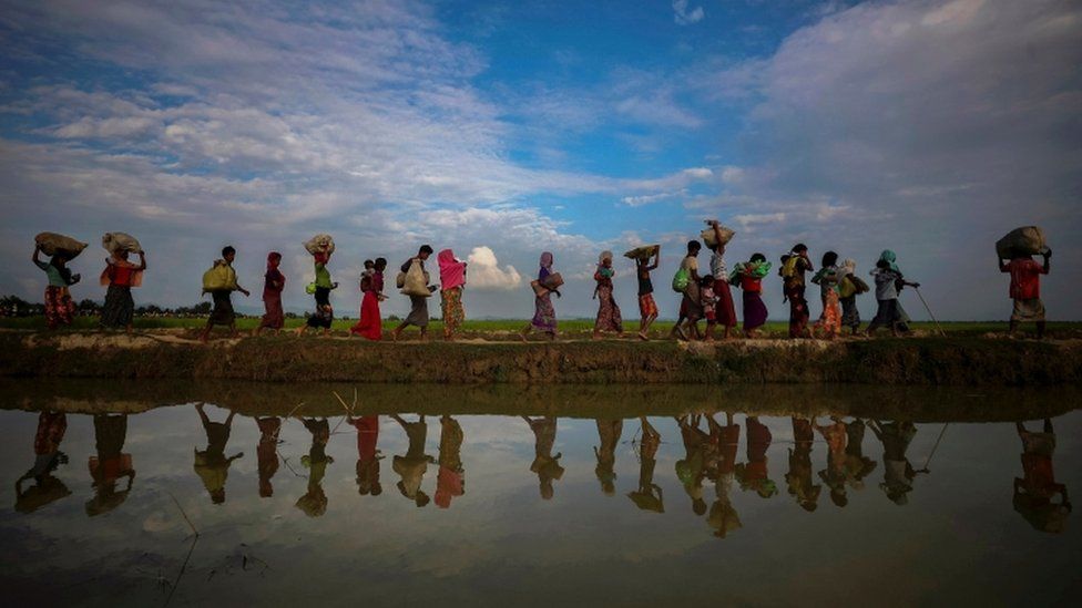 Rohingya refugees are reflected in rain water along an embankment next to paddy fields after fleeing from Myanmar into Palang Khali