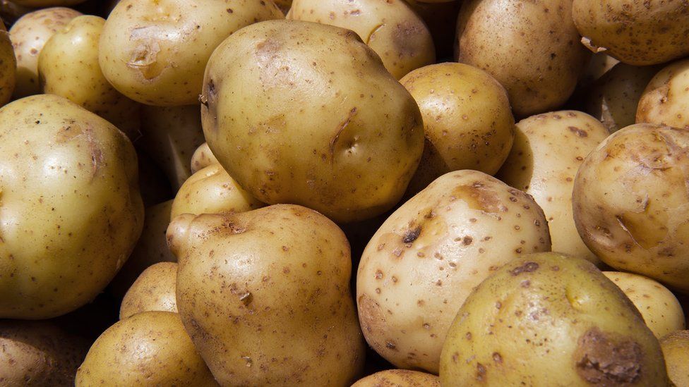White potatoes are seen for sale at a 'farmers market' June 3, 2010, in downtown Washington, DC