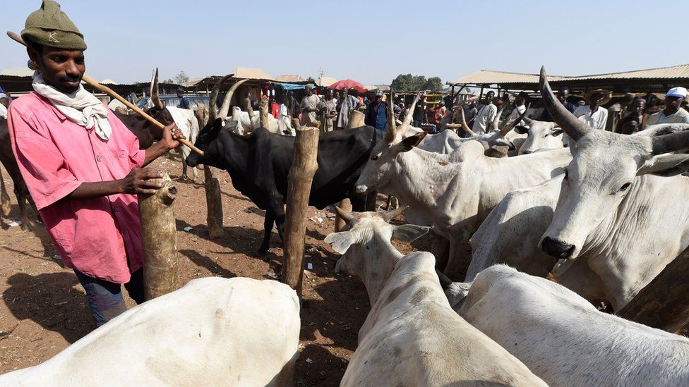 A herdsman stands beside herds at a cattle market (File photo)