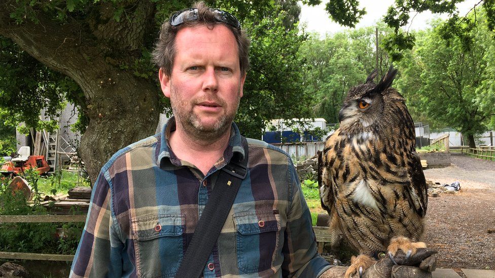 Fears for Welsh Hawking Centre over roadworks near Barry BBC News