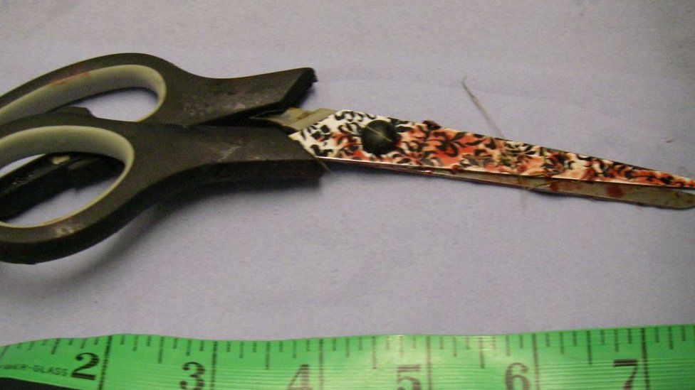Scissors used to cut off the heads of a royal python and a boa constrictor