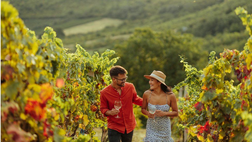 Man and women astatine  a vineyard