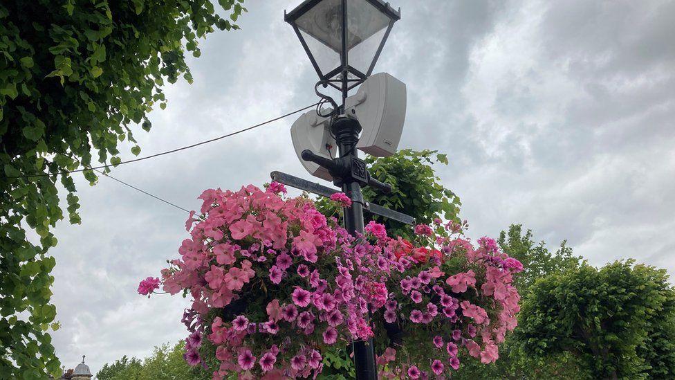 Hanging basket at Salisbury's Guildhall Square with cascading pink flowers