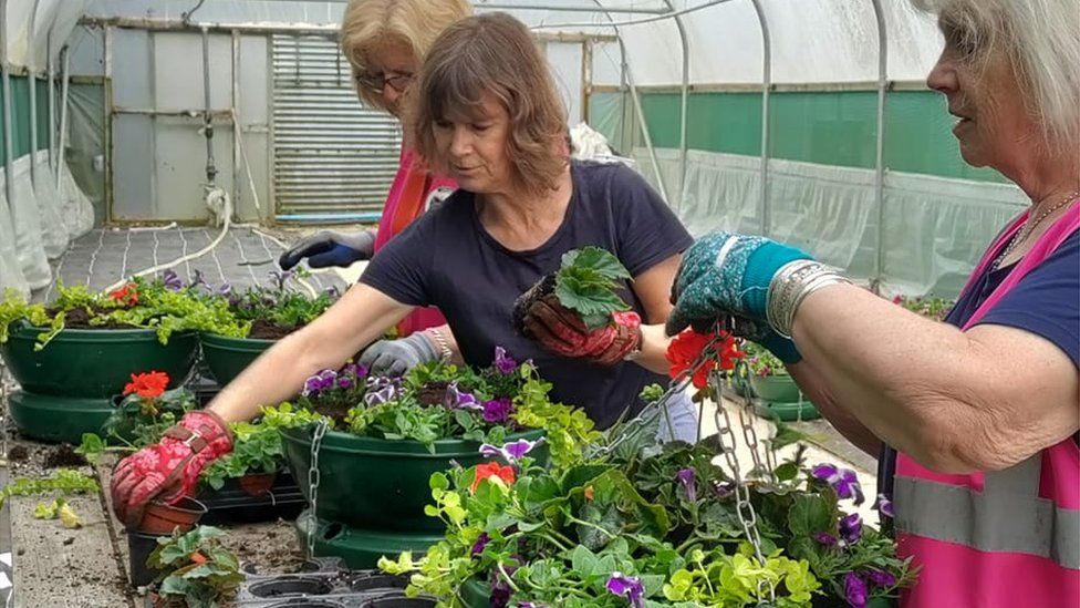 Women planting hanging baskets in a polytunnel
