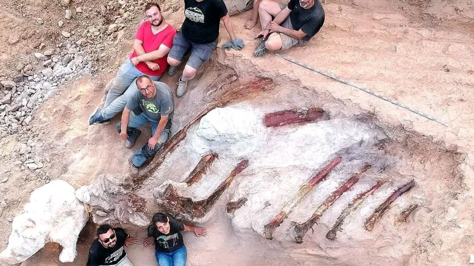 Paeleontologists sit with the ribs of the sauropod.