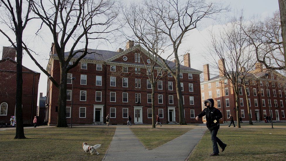 Harvard's campus in Cambridge, Massachusetts