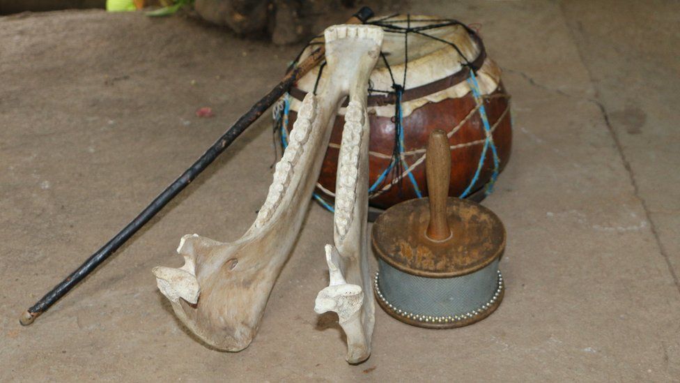 A quijada - donkey's jawbone, used as a musical instrument