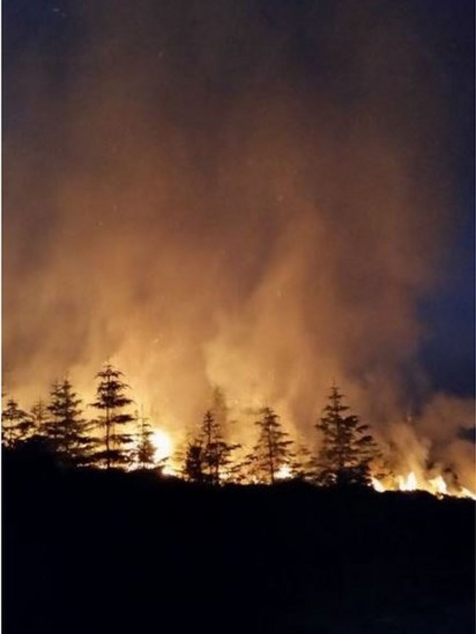 Crews tackle wildfire at Sutherland tree plantation - BBC News