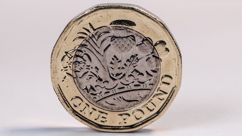 Pound coin