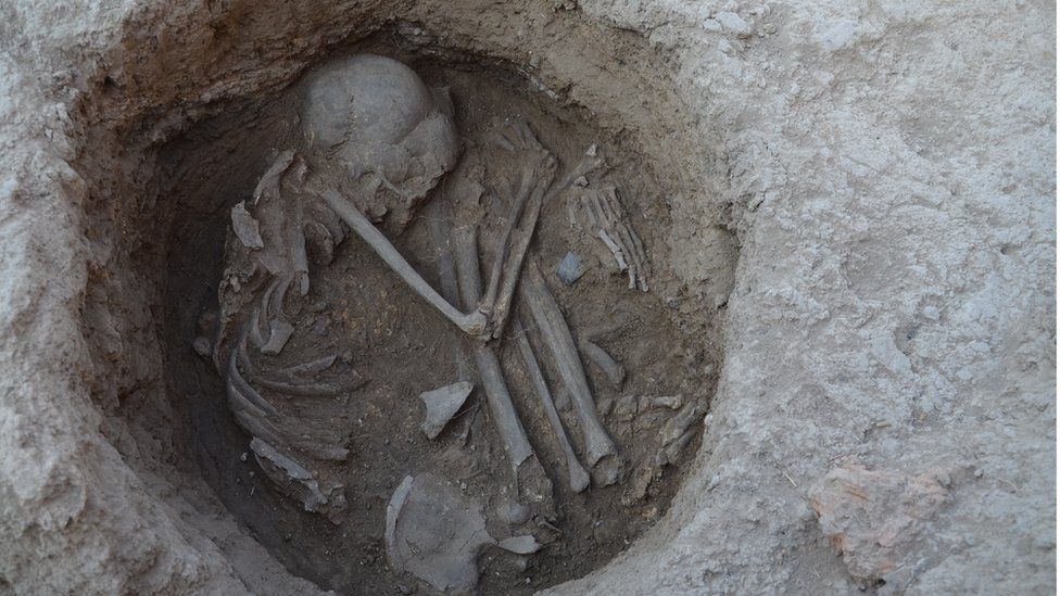 Ancient DNA was extracted from 230 ancient Eurasians
