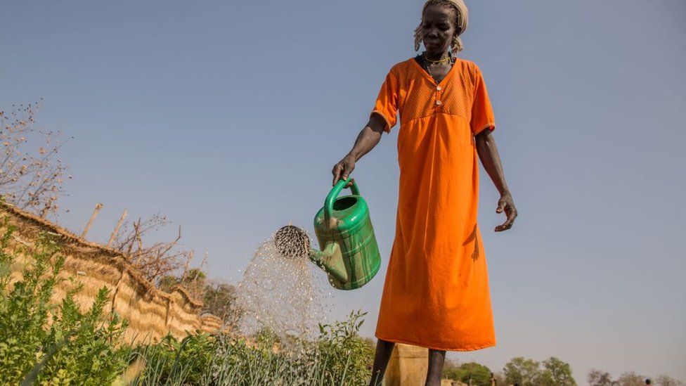 A South Sudanese farmer watering crops