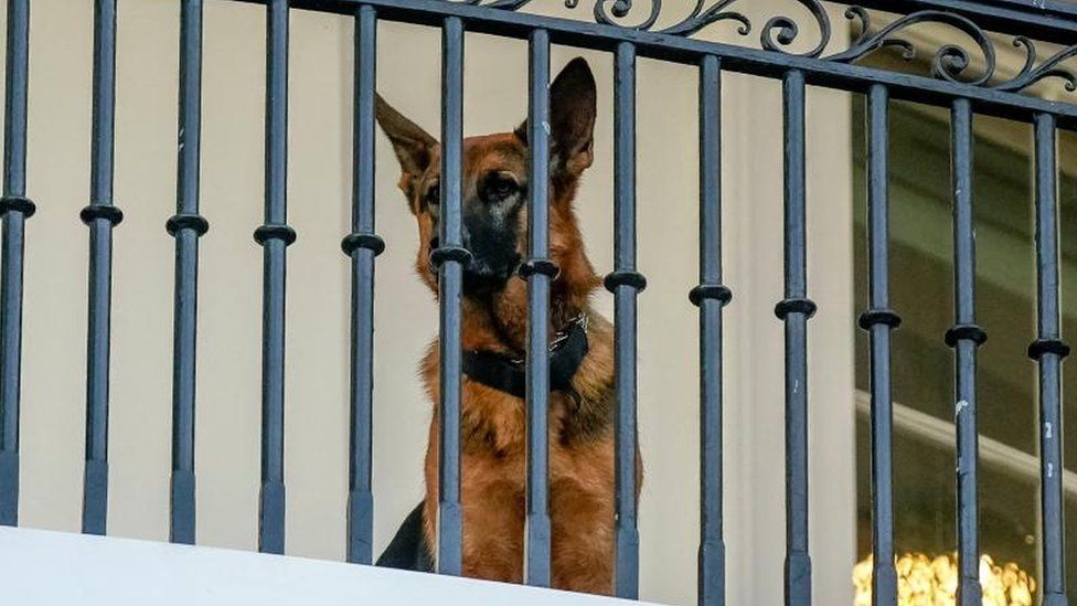 Commander looks through a railing at the White House in September