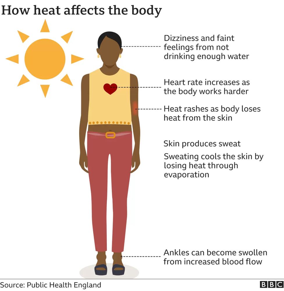 How heat affects the body