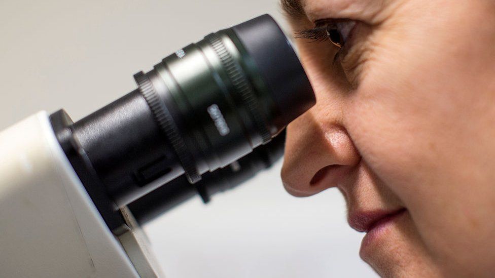 scientist looks down a microscope