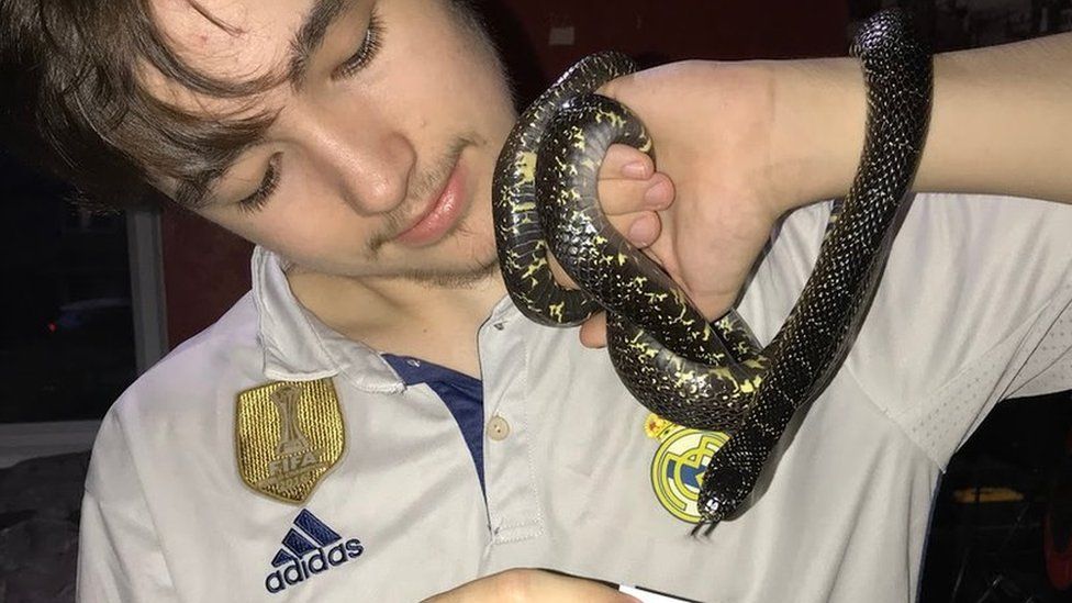 Rochdale escaped snake reunited with owner after two months - BBC News
