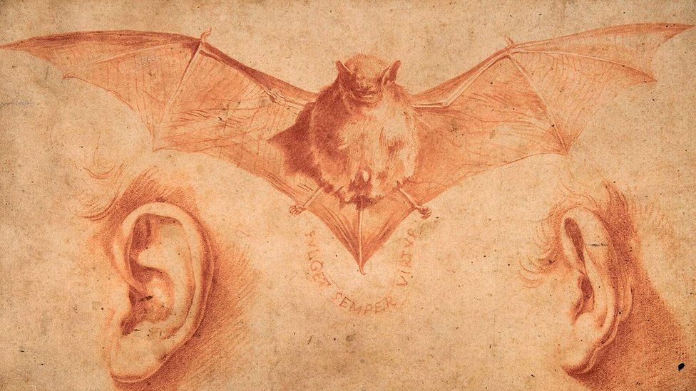 Загадочный символизм "Летучей мыши и двух ушей" по-прежнему озадачивает знатоков искусства