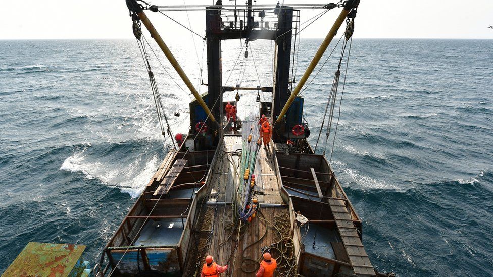Pulling a Danish seine or bottom net aboard a trawler in the Peter the Great Gulf, Russia