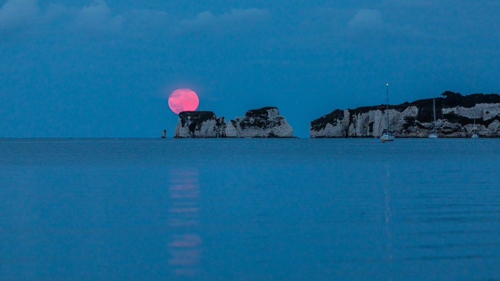 View over Old Harry Rocks