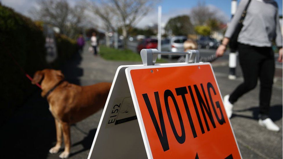 New Zealand Supreme Court Rules Voting Age Of 18 Is Discriminatory Bbc News 