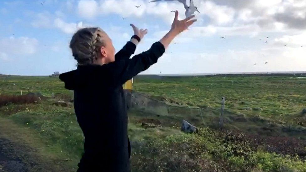 Dr Lucy Hawkes releasing an Arctic tern