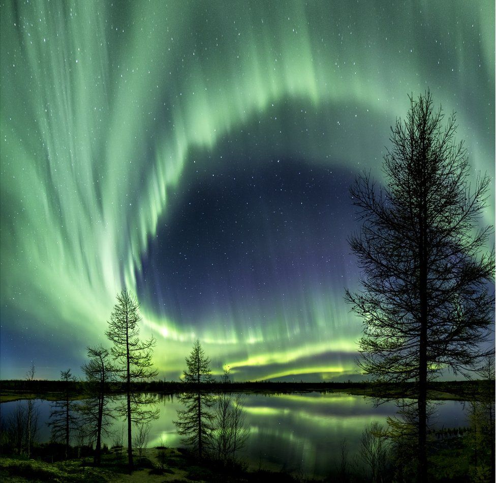 Northern lights over Siberian forest.