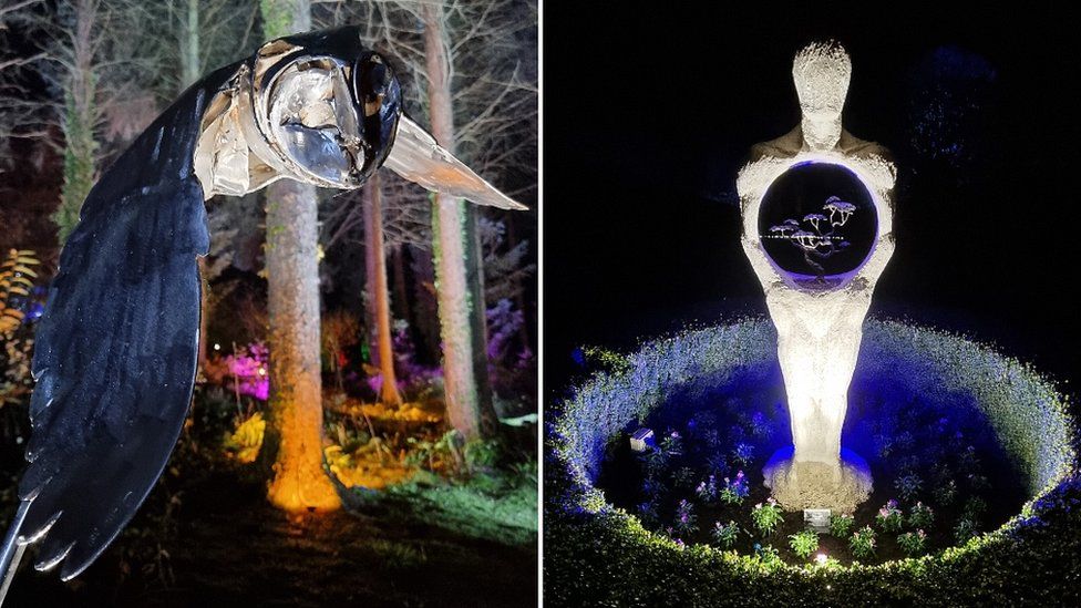 The Glow Trail of lights created at RHS garden BBC News