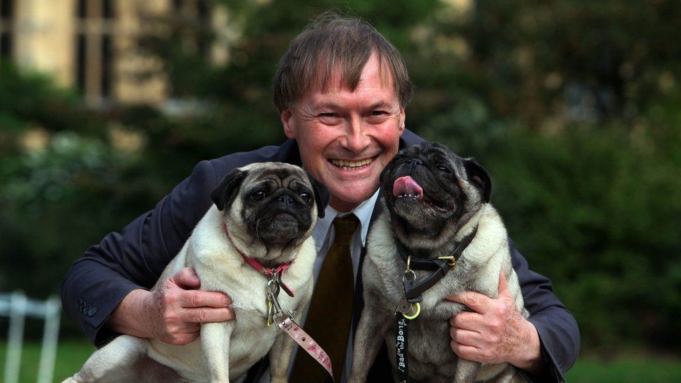 David Amess and his dogs
