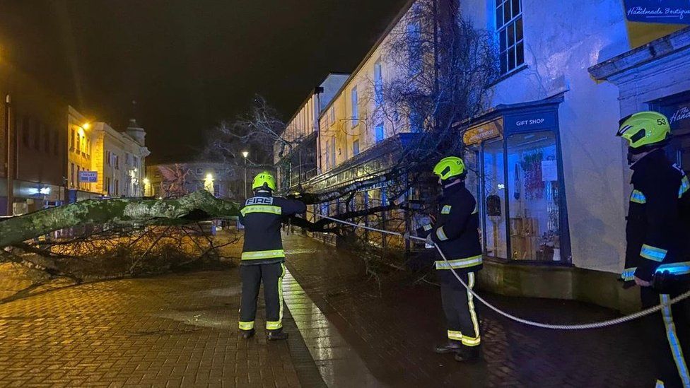 Trees brought down just outside of Miles Tea Room on Taunton High Street