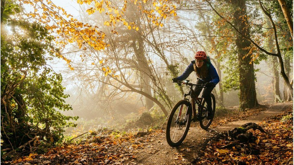 A mountain biker on a woodland trail