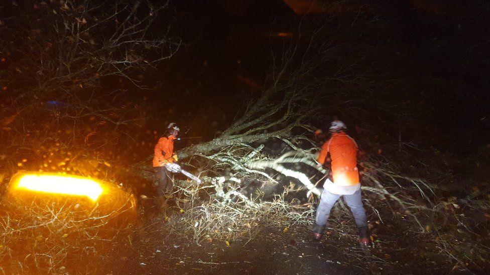 Two tree surgeons use chainsaw to cut fallen tree in dark