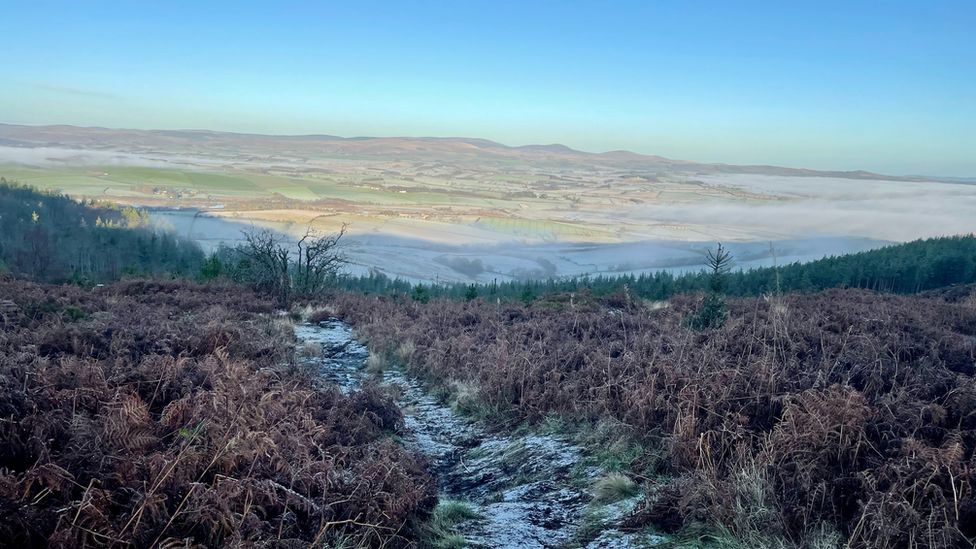 Michael Parry's picture from his back garden at Simonside Hills in Northumberland taken 29 November 2022
