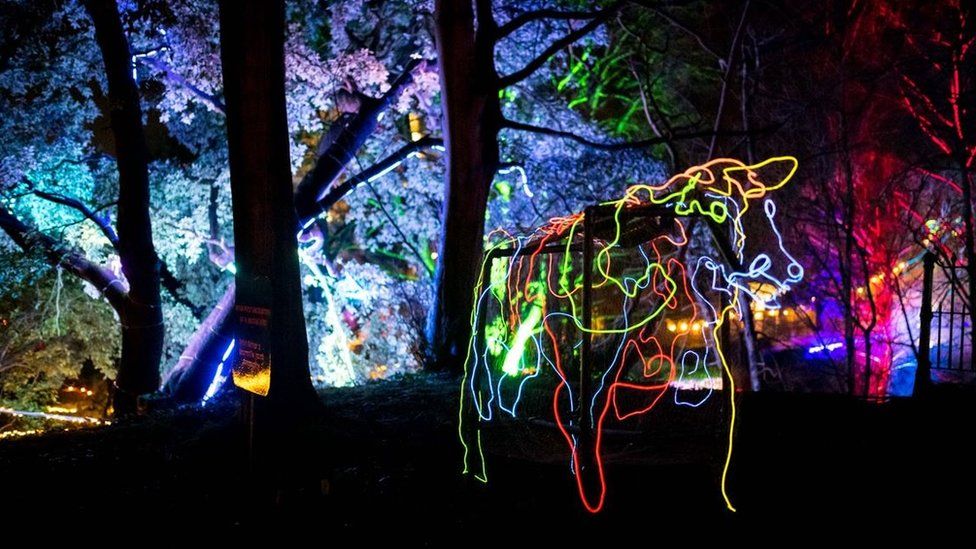 A lit up sculpture of a cow in front of trees