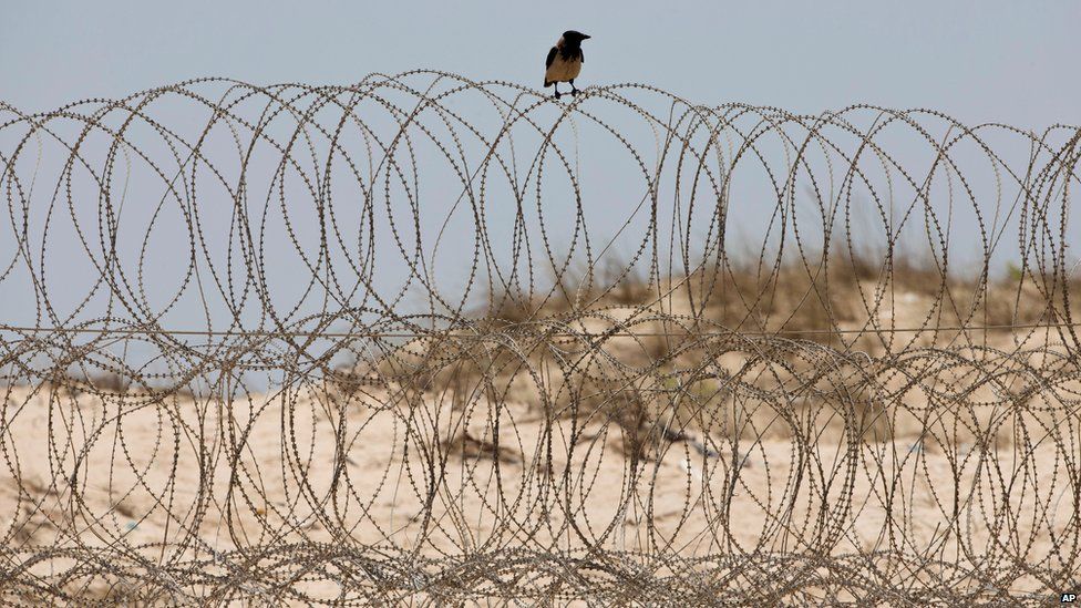 A crow sits on a barbed wire fence on the Mediterranean sea beach front near Kibbutz Zikim, on the Israel-Gaza border (July 2015)