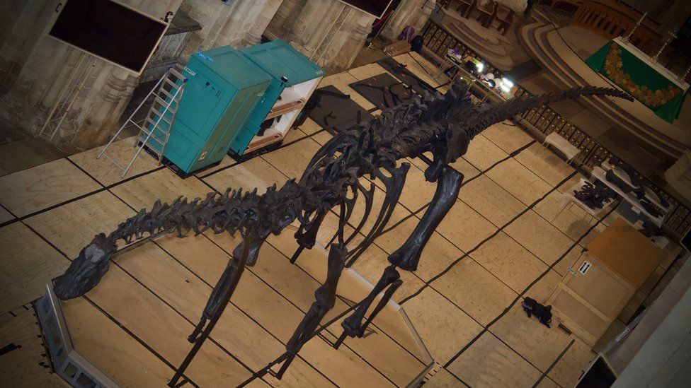 Dippy the Dinosaur in the nave of Norwich Cathedral