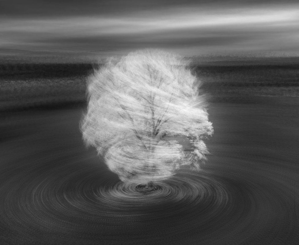 A black and white long exposure photo of a tree
