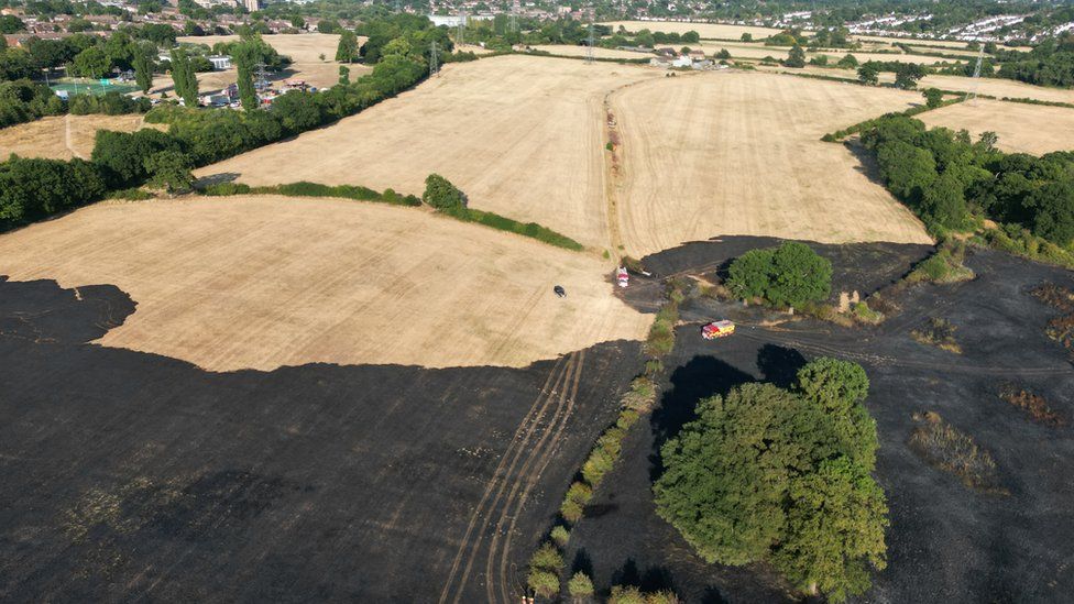 A field fire in Tolpits Lane, Watford