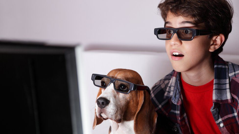 What does your dog like watching on TV? BBC Newsround