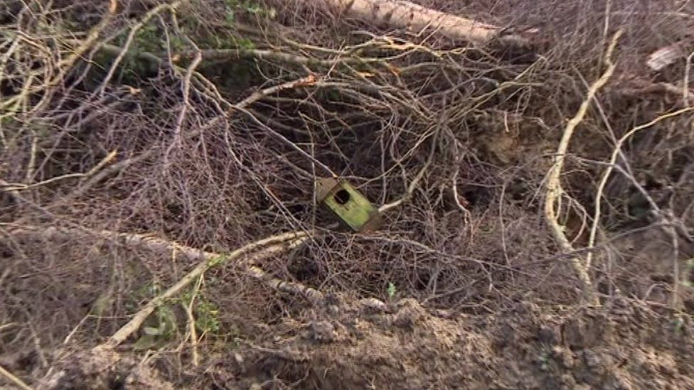 A birds' nesting box lies in the wreckage of the woodland at Burleys Wood