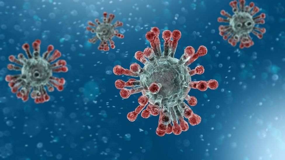 Coronavirus