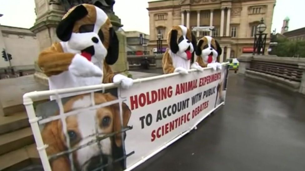 Protesters dressed as beagles