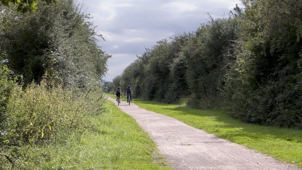 Cyclists on a greenway