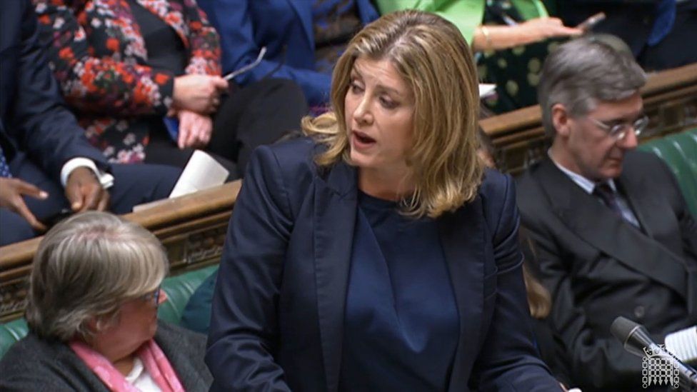 Penny Mordaunt Brexiteer Popular With The Tory Grassroots Bbc News