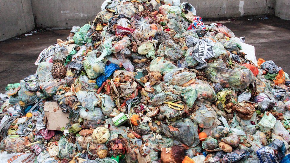 Pile of food waste at a Bristol Waste depot