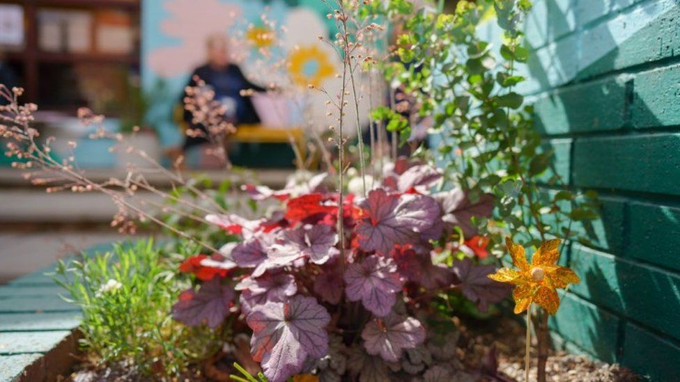 Wellbeing garden at Leeds school to aid pupils' mental health - BBC News