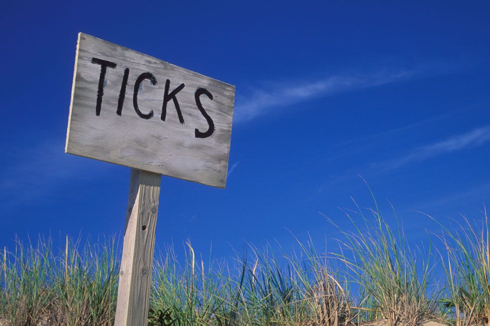 A sign warning about ticks near Nantucket