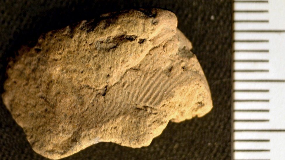 Fingerprint on piece of pottery