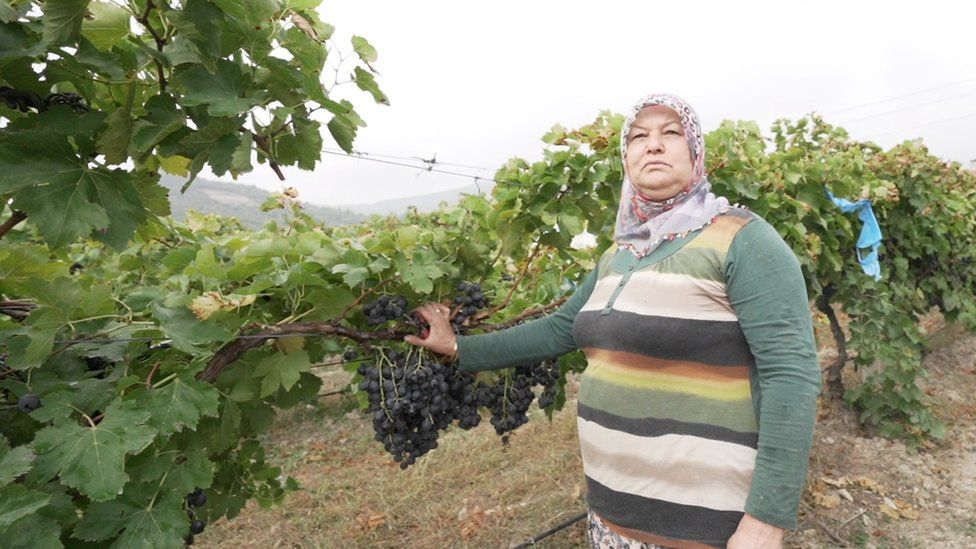 Farmer Feride Tufan in her vineyard