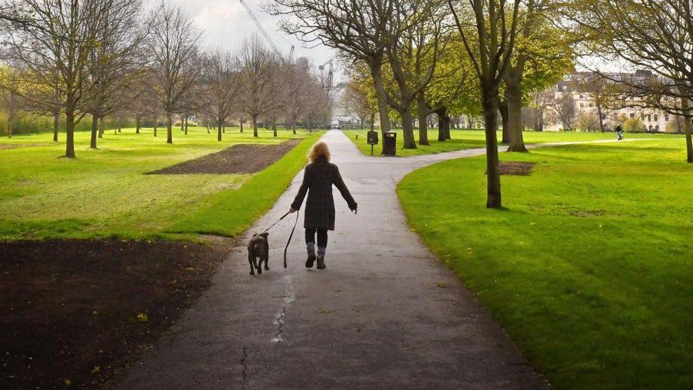 A woman walks a small dog through a park with trees on either side of the path