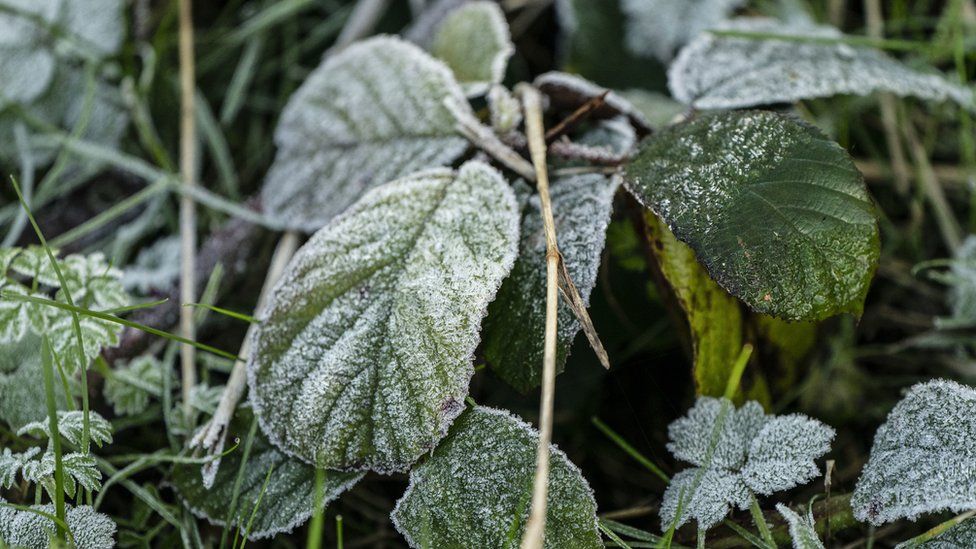 Frost in Yorkshire on Wednesday